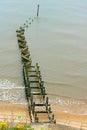 Wooden groyne protecting the shore.