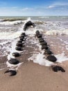 Wooden groynes