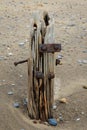 Wooden groynes Royalty Free Stock Photo