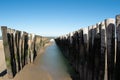 Wooden groynes at the beach in Zeeland, Holland