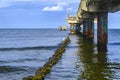 Wooden groynes covered with yellow green algae under a pier with columns of concrete and rusty metal