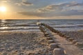 Wooden groynes in the water of the Baltic Sea at sunset