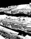 Wooden grungy lines texture background in black and white