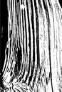 Wooden grungy lines texture background in black and white