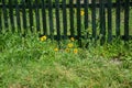 Wooden guardrail Royalty Free Stock Photo