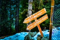 Wooden guide pole in a forest in winter