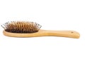 Wooden hairbrush with hairs