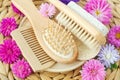 Wooden hairbrush, small comb and massage body brush with pumice stone. Eco friendly toiletries. Natural beauty treatment Royalty Free Stock Photo