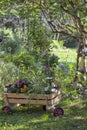 Wooden Hand Cart Full Of Flowers