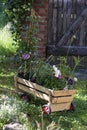 Wooden Hand Cart Full Of Flowers