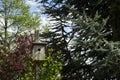 Wooden hand made birdhouse in colorful blue sky with green plant leaves and trees in the backgound. Landscape clouds bright light Royalty Free Stock Photo