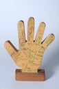 Wooden hand palmistry.