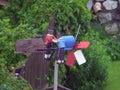 Wooden Handcrafted Weathervane in Motion: Propeller spinning with little men