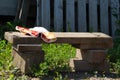Wooden handmade bench an old abandoned garden summer sunny day. Royalty Free Stock Photo