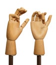 Wooden hands on a white background