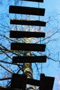 Wooden hanging ladder in the forest view