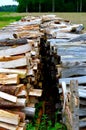 Wooden heap of oak couper. Royalty Free Stock Photo