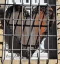 A wooden heart behind bars