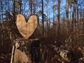 Wooden heart cut out of an old tree trunk in a forest in Stuttgart, Germany in winter with bare trees and foliage. Royalty Free Stock Photo