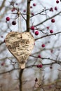 Wooden heart hanging from a tree Royalty Free Stock Photo