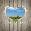 Wooden heart nature