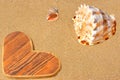 Wooden Heart and Sea Shells Royalty Free Stock Photo