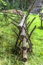 Wooden hedge in the countryside