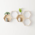 Wooden Hexagon shelf little tree, books ,decoration copy space, mock up Royalty Free Stock Photo