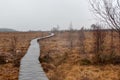 Wooden hiking path, fens, grass, High Fens rainy landscape Eastern Belgium Royalty Free Stock Photo