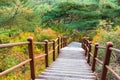 Wooden hiking path