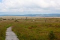 Wooden hiking path High Fens landscape Botrange Belgium Royalty Free Stock Photo