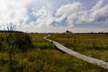 Wooden hiking path High Fens landscape Botrange Belgium