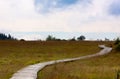 Wooden hiking path High Fens landscape Botrange Belgium Royalty Free Stock Photo