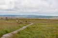 Wooden hiking path High Fens landscape Botrange Belgium Royalty Free Stock Photo