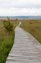 Wooden hiking path High Fens landscape Botrange Belgium Royalty Free Stock Photo