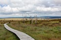 Wooden hiking path High Fens landscape Botrange Belgium