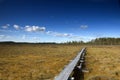 Wooden hiking trail through bog