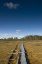 Wooden hiking trail through bog Royalty Free Stock Photo