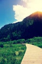 Wooden hiking trail in froest Royalty Free Stock Photo