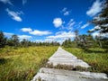 Wooden hiking trail leading through mountain bog Royalty Free Stock Photo