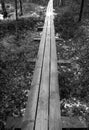 Wooden hiking trail