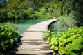 Wooden Hiking Trail