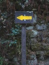 Wooden hiking trail signpost in oak forest