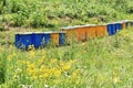 Wooden hives for meadow honey production Royalty Free Stock Photo