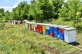 Wooden hives for meadow honey production Royalty Free Stock Photo