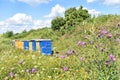 Wooden hives for meadow honey production Royalty Free Stock Photo