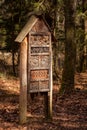 Wooden home for wild bees in the forest