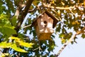 Wooden homemade birdhouse hanging on a tree