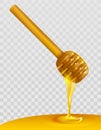 Wooden honey dipper and honey on transparent background