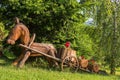 Wooden horse and cart, decorative flowerbed in the garden